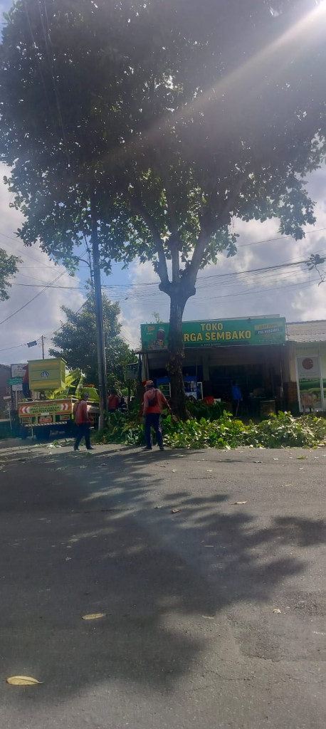 Memantau pengangkutan sampah sungai di Lingkungan grokgak dan perompesan pohon di Lingkungan Umagunung